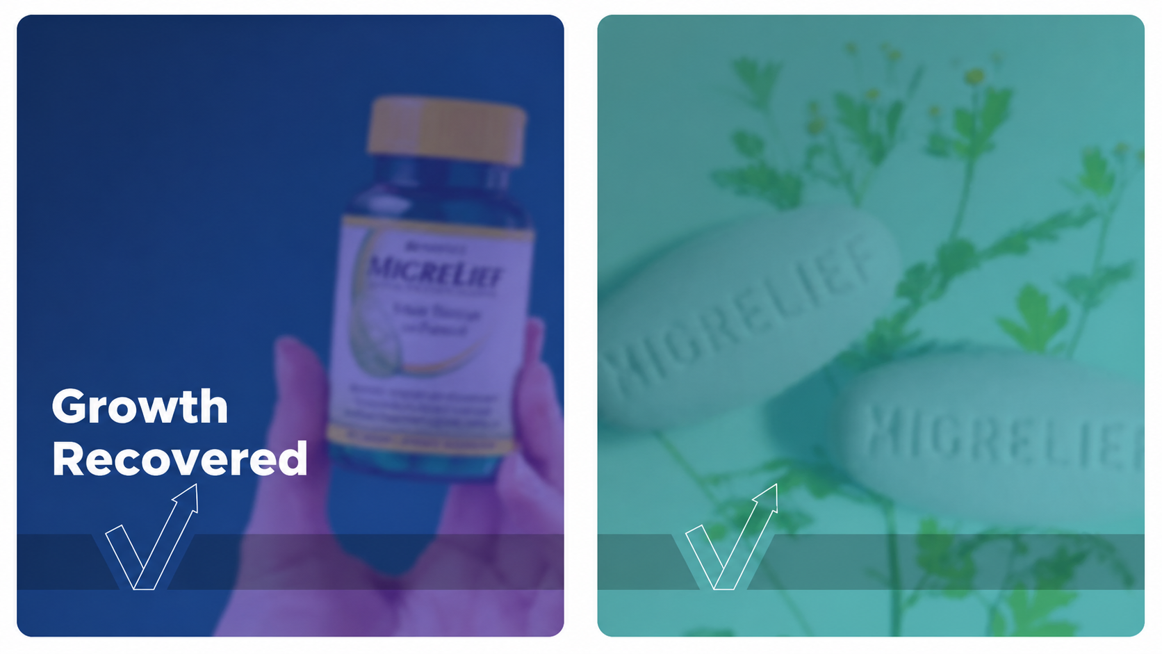 Tribe Organics Amazon Case Study (Doubling Sales) | Adverio 2 Ageso Migrelief Case study - Growth Recovered