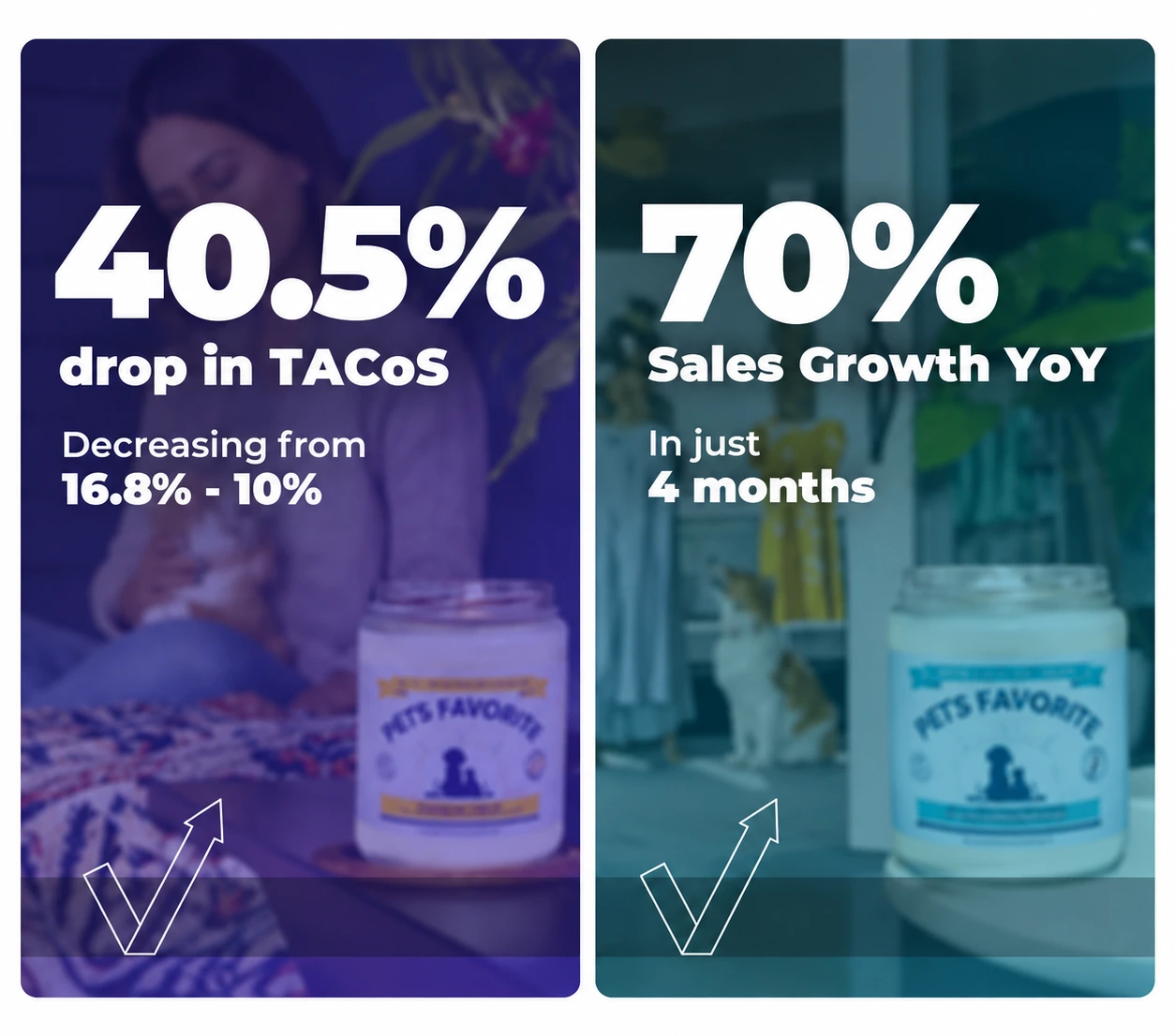 Adverio - Pet Marketing Growth Metrics 1
